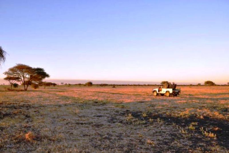 Hotel Dornhuegel Guestfarm à Grootfontein Extérieur photo