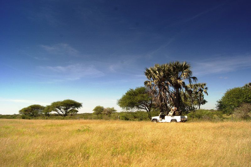 Hotel Dornhuegel Guestfarm à Grootfontein Extérieur photo