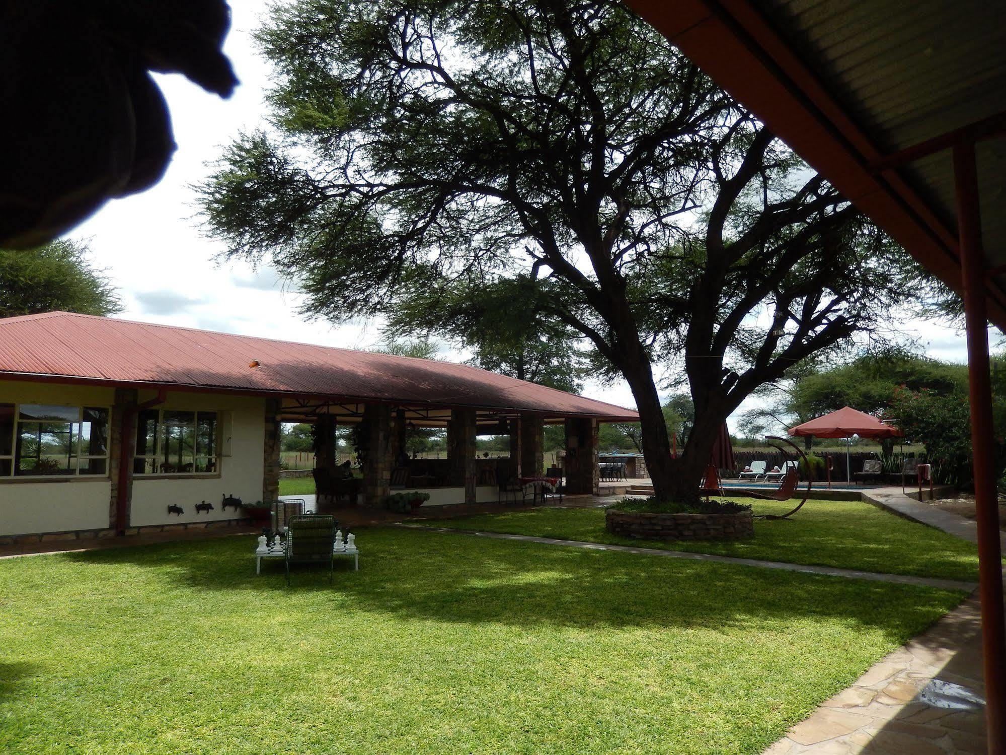 Hotel Dornhuegel Guestfarm à Grootfontein Extérieur photo